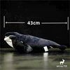 Bowhead Whale High Fidelity Anime Cute Plushie Humpback Right Whale Plush Toys Lifelike Animals Simulation Stuffed Doll Kawai 2