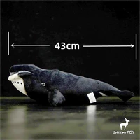 Bowhead Whale High Fidelity Anime Cute Plushie Humpback Right Whale Plush Toys Lifelike Animals Simulation Stuffed Doll Kawai 2