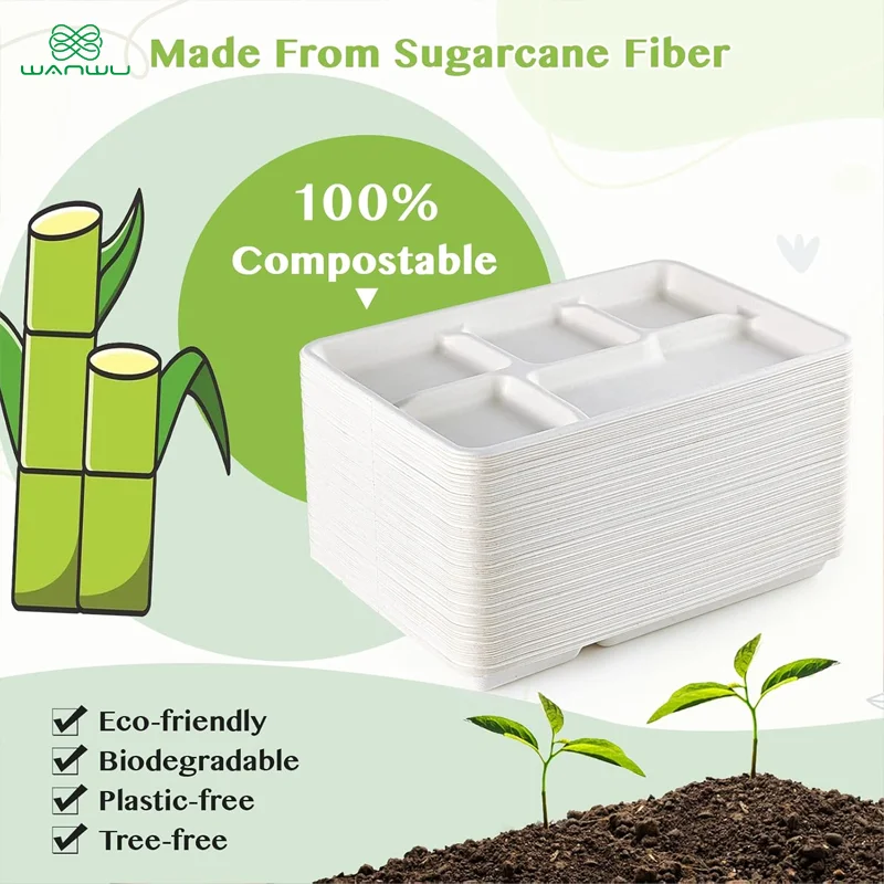 5 grid plates,25 disposable paper plates, heavy duty biodegradable sugarcane trays, eco-friendly school lunch trays