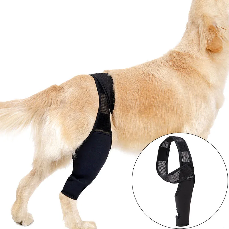 

Pet Knee Pads For Joint Injury Recovery Legs Protector Dog Thigh Brace Wrap Adjustable Support Belt Post-operative Fixation