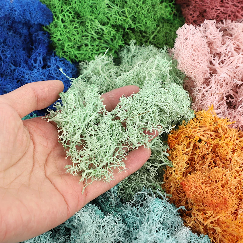 20/40/60g Eternal Life Moss Grass Artificial Green Plant for Home Garden Room Decoration DIY Crafts Mini Landscape Fake Flowers