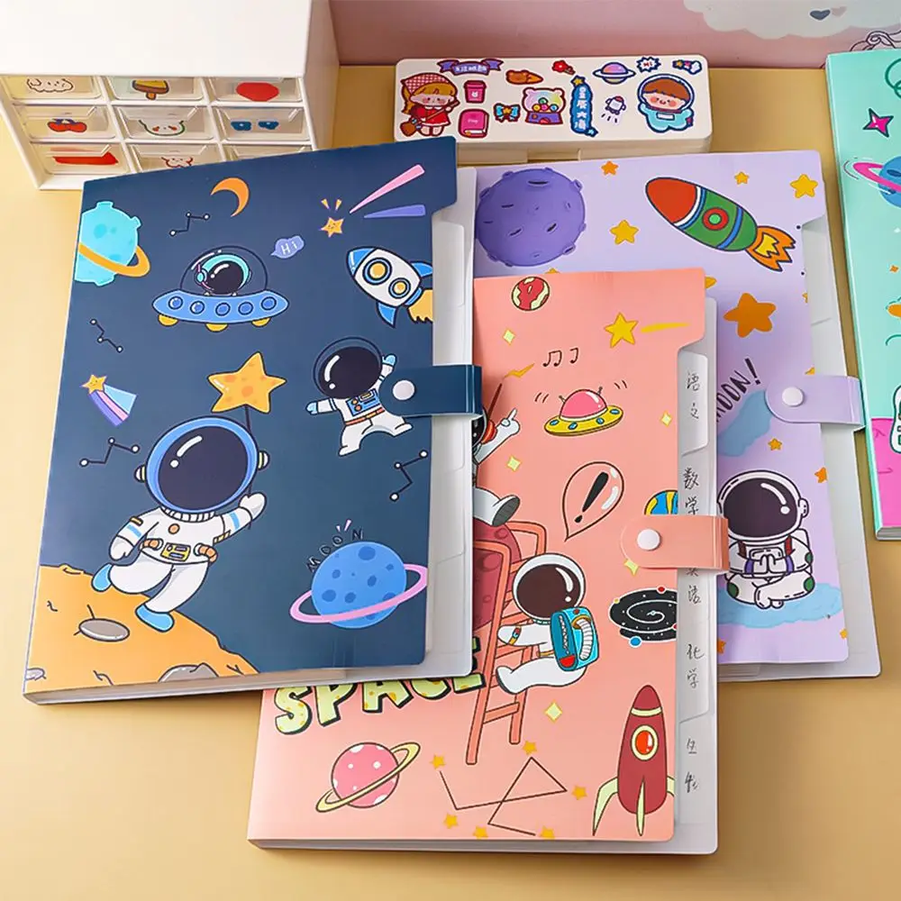 Рисунок 4 - Папка-органайзер А4 для документов