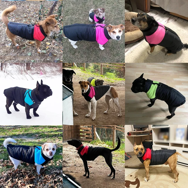 Pet Dog Jacket Warm Winter Clothes For Small Large Dogs Labrador Coat Windproof Waterproof Puppy Costume Vest With D-ring Pug 5