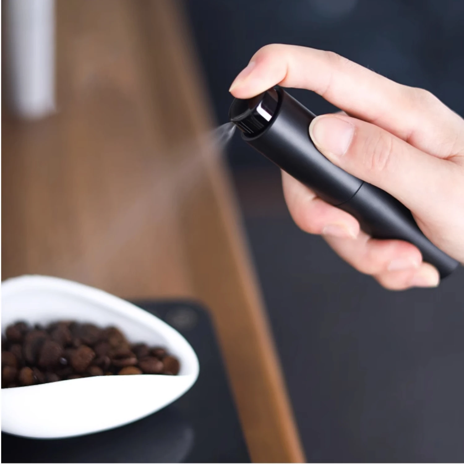 CoffeeBeansRDTSprayPortableHumidifierForPowderAntiFlyand