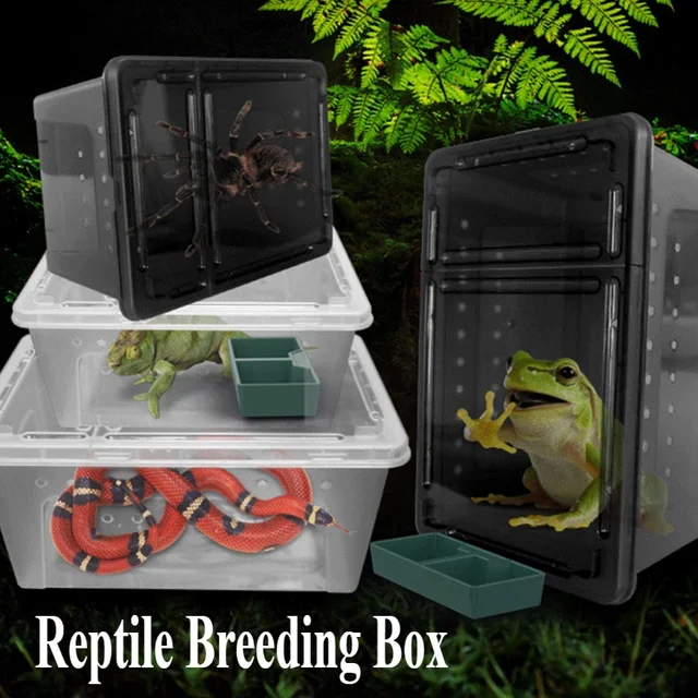 Reptile Breeding Feeding Box Transparent Insect Rearing Hatching Containers Habitat Cage for Spider Lizard Turtle Snake Frog 2