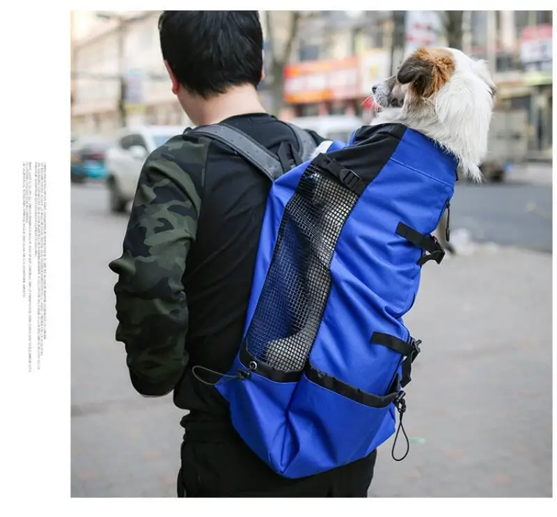 Sac à dos de voyage chic pour chien : tous les tailles