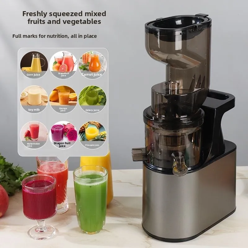 2L Stainless Steel Juicer 1
