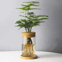 Plant Propagation Station Glass Planter With Wooden Tray Lid Tabletop Plant Propagation Vase For Air Plants Flower Cuttings 1