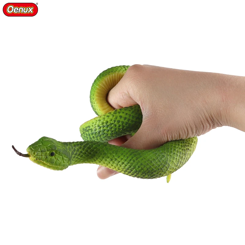 Mader's Reptile and Amphibian 獣医　エキゾチック Hammerhead marine reptiles vacuumed up algae | Earth Archives