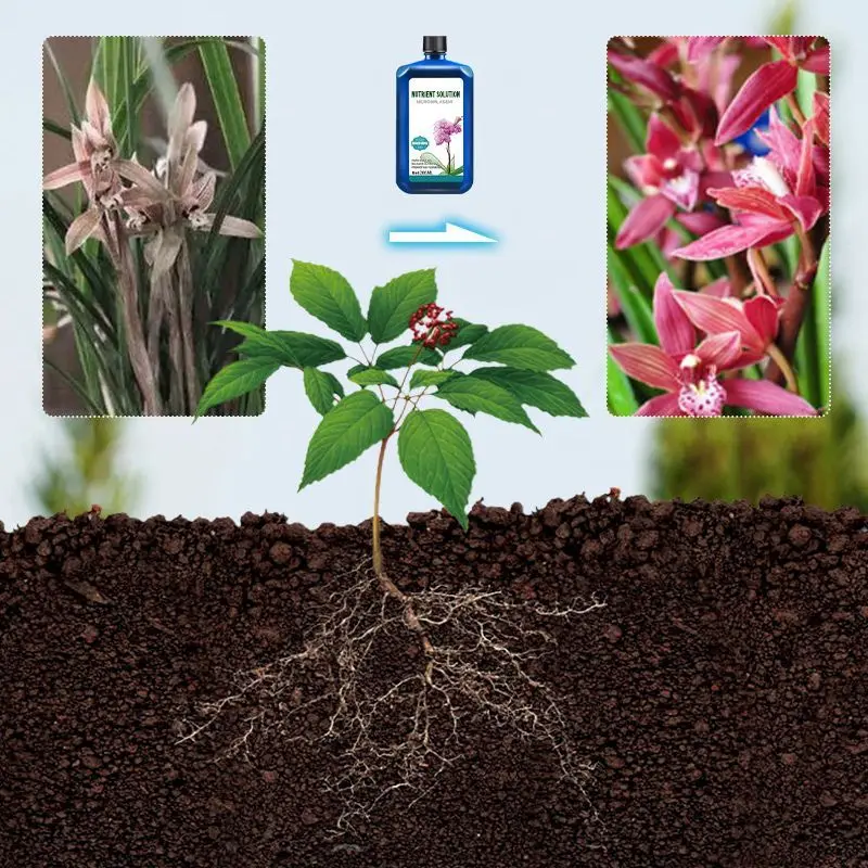 Pousbo&reg; Orchids Plant Concentrated Nutrient Solution