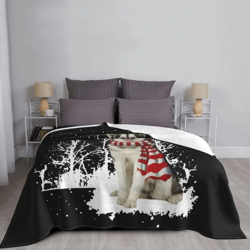 �˷���ī Malamute �޸� ũ�������� ��� ĳ�־� ���� ��ȣ ���� ��¥ ���� ��ũ ���� ���