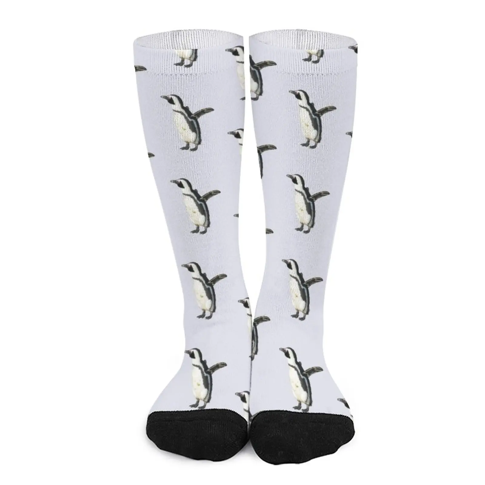 Cute Penguin Boulders Beach, Cape Town, South Africa Socks funny sock Rugby Men′s sock hiking portuguese rooster with portuguese tile design socks toe sports socks custom sports socks cute socks women s socks men s