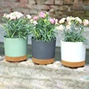 Plastic Flowerpot Flower Plant Pot Balcony Courtyard Potted Plants Bonsai Flowerpot with Drainage Home Garden Tray macetas 3