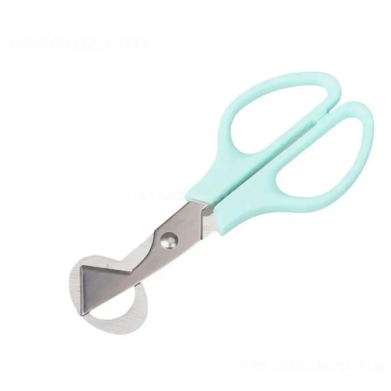 1 Pz Forbici Multifunzionale Efficiente Durevole E Pratico Guscio D'Uovo Cutter Egg Opener Egg Biscuits Game Changer Bird Egg Cutter