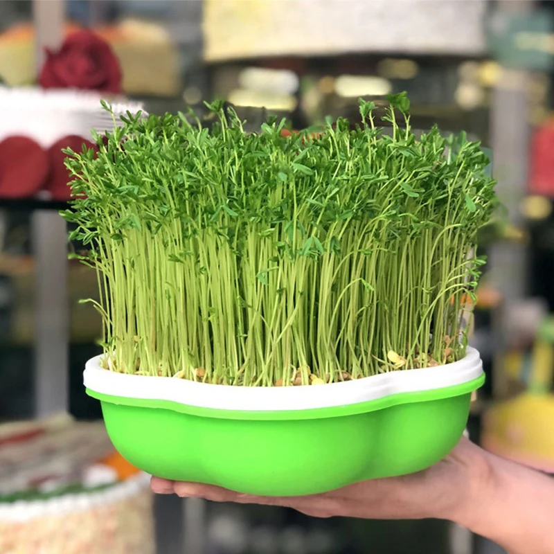 Garden Hydroponic Peanut Sprout Box Bean Pea Wheat Seedling Sprouter Tray Grass 3