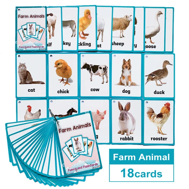 Farm Animal Card Children | Animal Flash Cards Kids | Animal Education  Cards - Animal - Aliexpress