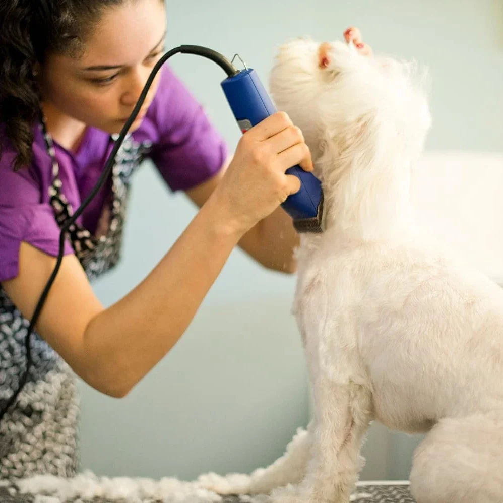 Barber Hair Clipper Blade Pet Grooming Clipper 3 3/4 Detachable Pet Dog Trimmer Replacement Ceramic Blade Compatible With For Most Andis Oster A5 Wahl KM 10 Series Clippers
