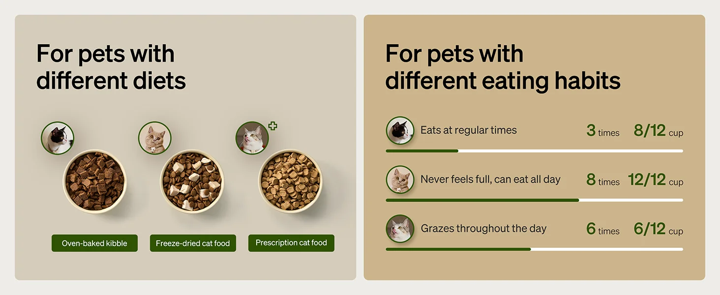 automatic cat feeder