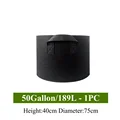 50 Gallon