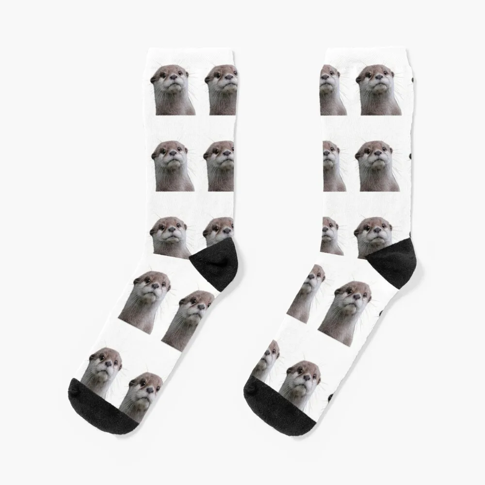 

Just A Cute Otter Socks Compression Stockings For Women Socks Designer Brand