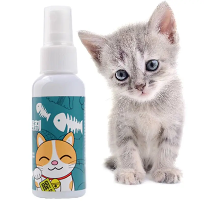 50ml Cat Catnip Spray Pet Training Toy Organic Natural Healthy Kitten Cat Mint Funny Scratching Toy Drop Shipping