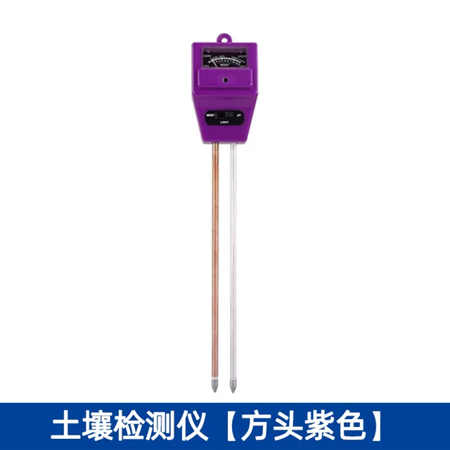 square head purple