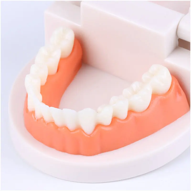 Montessori Educational Toys for Children Early Learning Kids Intelligence Brushing Tooth Teaching Aids Simulated Practical Life - 3
