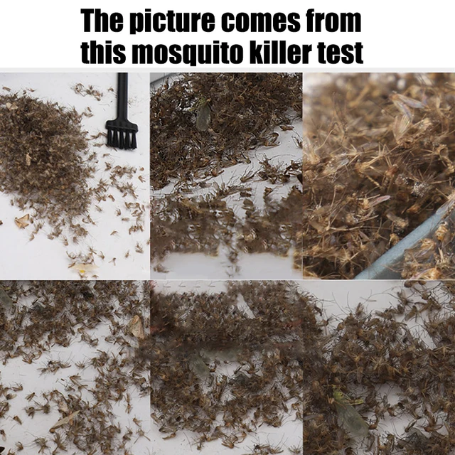 8W Mosquito Killer Lámpa Erőteljes Háztartási Led Elektromos Sokk Szúnyoggyilkos Csapdák Kereskedelmi Étterem 110 V/22 - Image 4