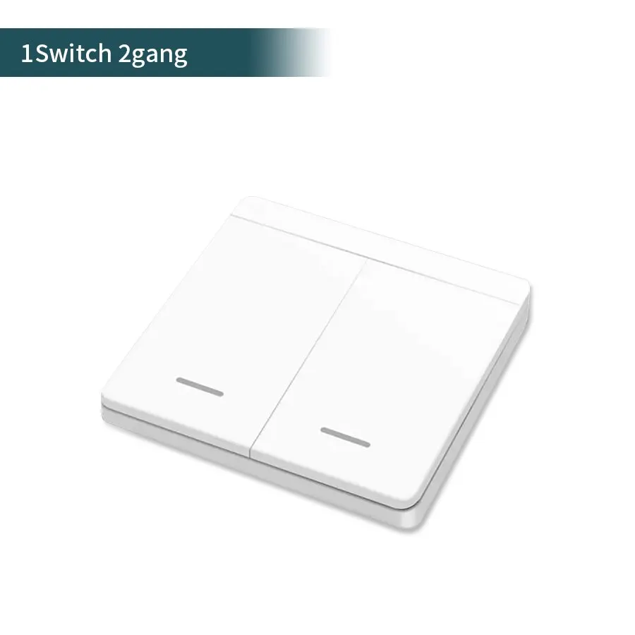1Switch 2gang