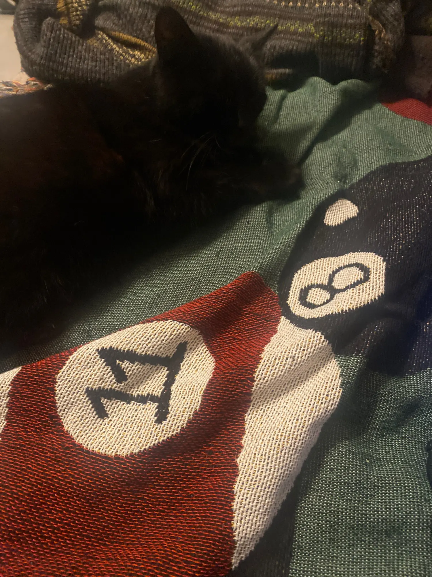 �籸 ��Ʈ ��� ��ũ�� ��Ʈ, ���ǽ�Ʈ�� ���� ����, ���� ����, ħ�� ���, �߿� ī��, ����