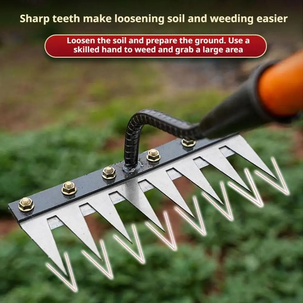 Carbon Steel Garden Hoe Weeding Rake Tool for Farm and Garden