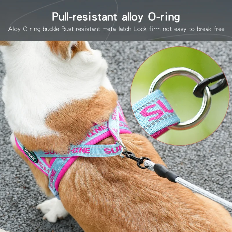 Peitoral canino com estampa — foto adicional