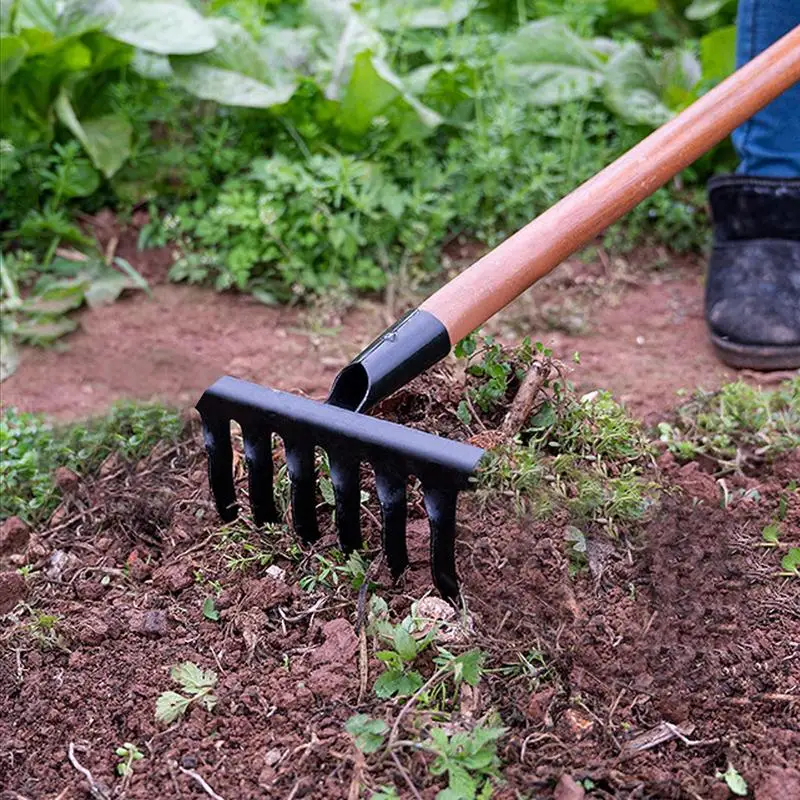 Leaf Rakes for Lawns Heavy Duty Garden Rake Lawn Tools Thatch Rake Dethatcher Rake Metal Garden Hoe Gardening Rake for Loosening 4