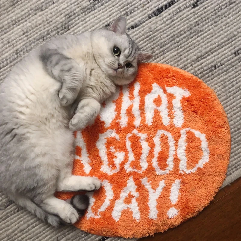 Flocking Floor Rug Pets Rug Living Room Nordic Bathroom Soft Fluffy Bedside Carpets Entryway Floor floor mat shaggy rugs