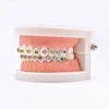 Dental Orthodontic Treatment Teeth Model With Bracket Arch Wire Buccal Tube Ligature Ties Dentist Lab Tooth Model Teaching Tools 6
