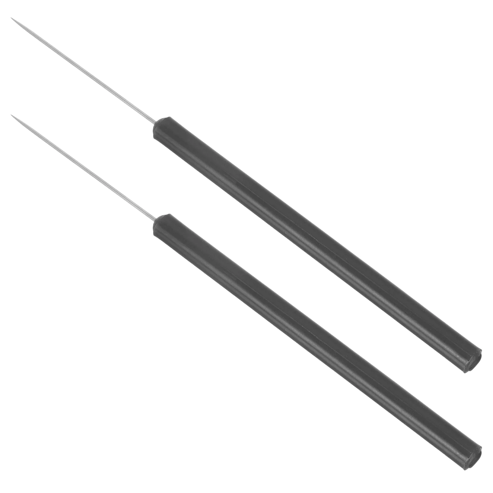

2 Pcs Insect Dissecting Needle Laboratory Dissection Tool Specimen Anatomy Biology School