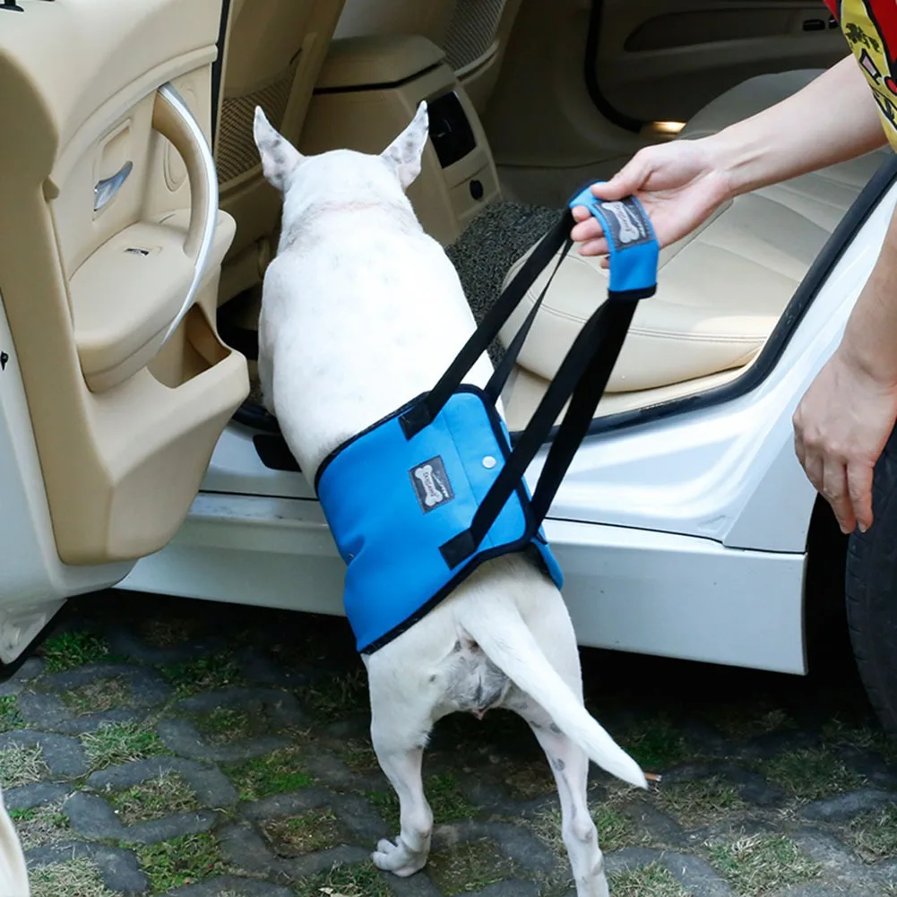 Dog lift harness Dog Lift Harness Dog Sling for Large Dogs Hind Leg Support Makes Lifting Rear Legs of Bigger Canines Easier Comfortably Supports