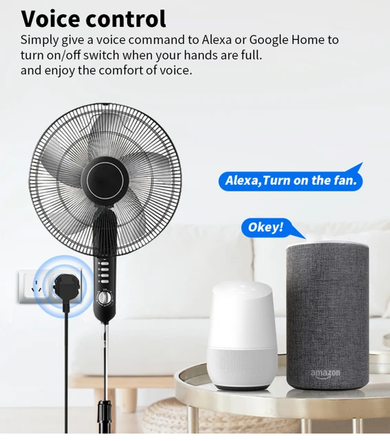 Prise connectée WiFi 16A avec mesure de consommation compatible Tuya Smart  Life, Google Home, Alexa et Siri Shortcuts 