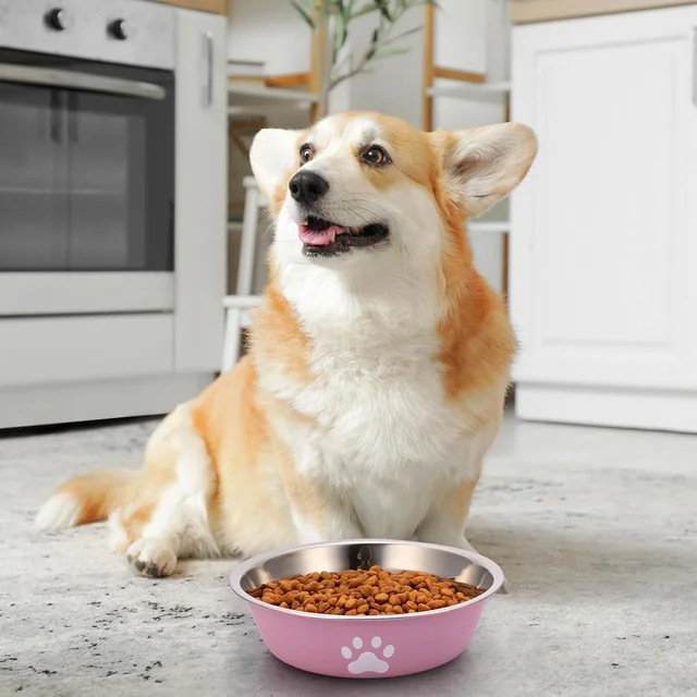 Dog Bowls Stainless Steel Dogs Feeding Bowls With Non-Slip Silicone Sole Dog Food Water Bowl Pet Bowl Dog Dishes For Dog Cat Pet 4