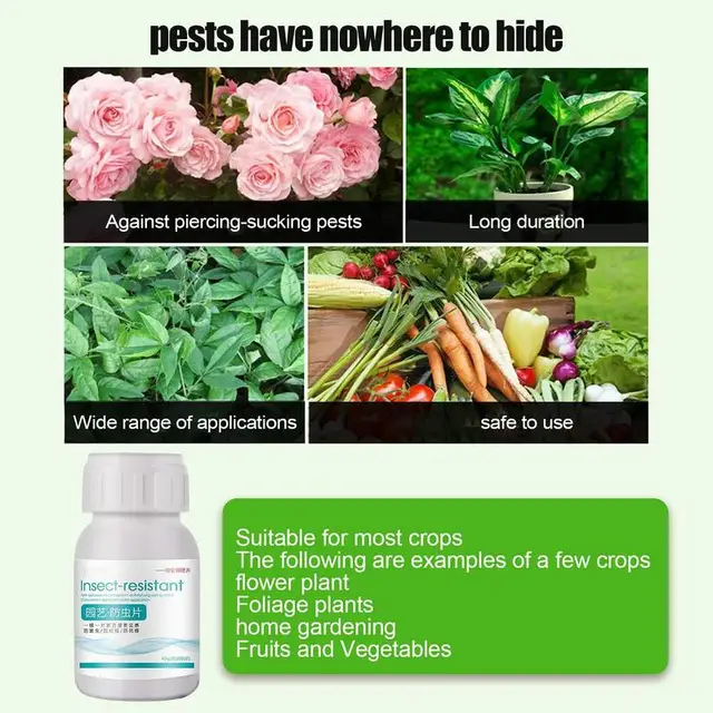 40 G Palackozott Növényi Virág Rovarriasztó Élelmiszer -Termelő Műtrágya Boron Univerzális Professzionális Növény Otthon - Image 6