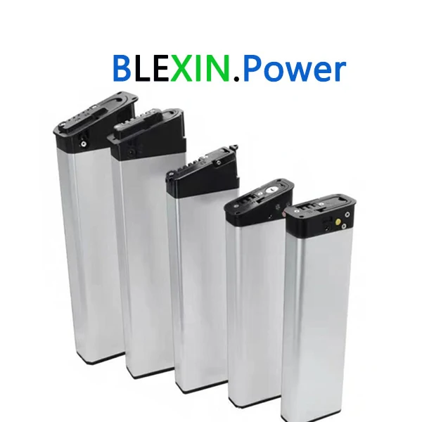 BLEXIN Battery Store Store