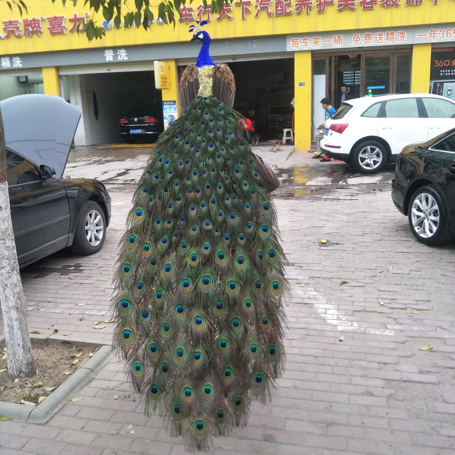 

huge beautiful peacock model foam&feather long tail peacock bird gift about 180cm d0003