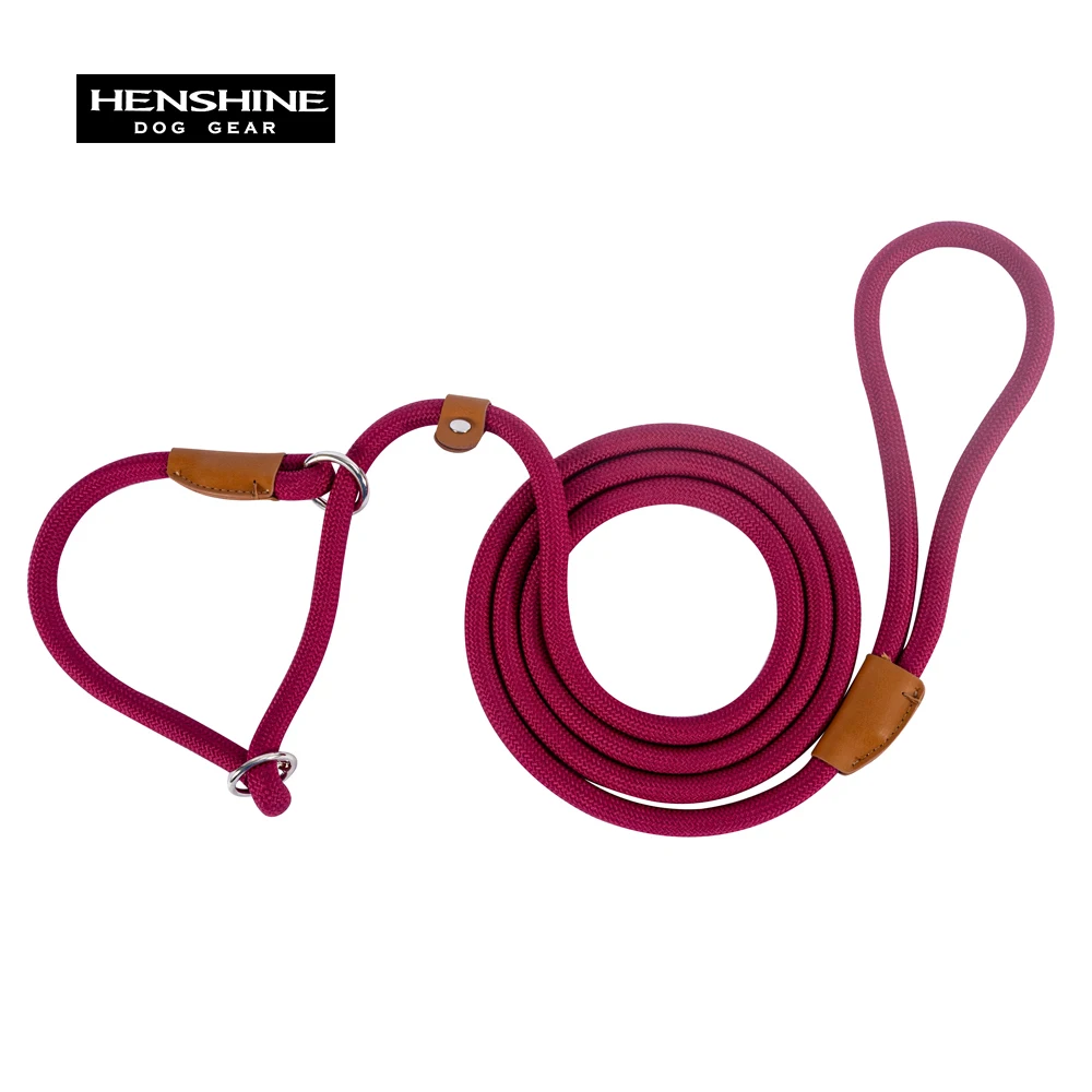 Adjustable Nylon Rope Dog Leash With Slip Lead For Medium Dogs_voghion.com