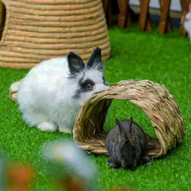 Kedvtelésből Tartott Fű Vizeletező Szőnyegzöld Mikro Táj Dekoráció Mini Tündérkert Szimuláció Mesterséges Hamis Moha Kültéri Kertészkedés Díszítés - Image 3
