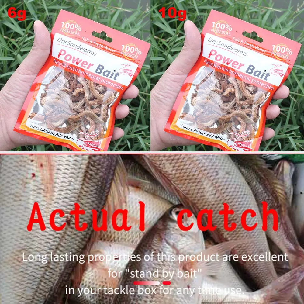 1Pack 2021 Peche Worms 6g 10g Silicone Baits Dry Lugworm Fishing Power Lures Sandworm