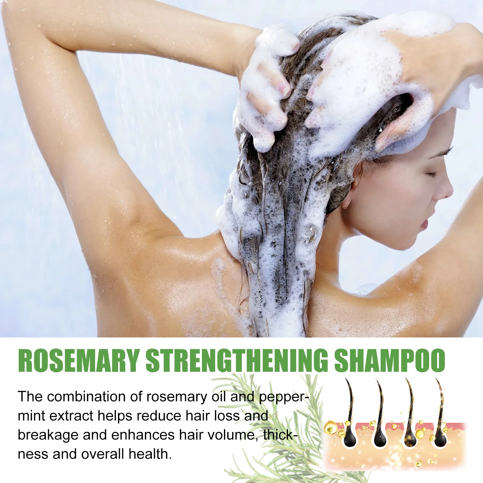 Hair Shampoo Rosemary Shampoo Hair Regrowth 100ml