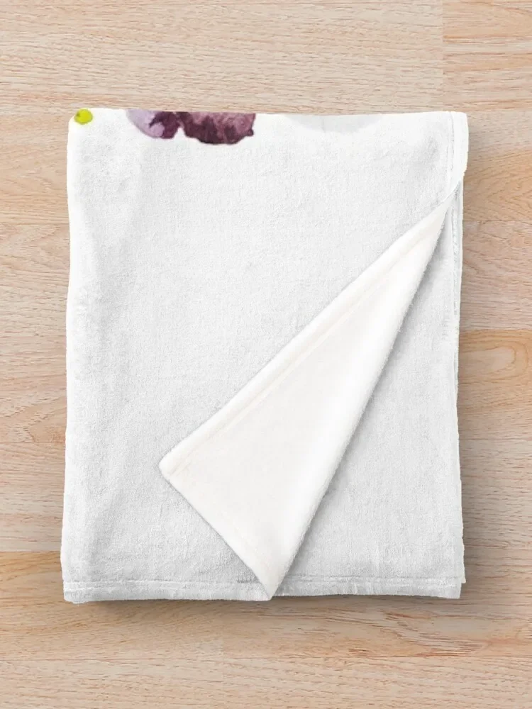 ���� Anteater ������ ���, ������ �м� ����, ����ִ� ����, ũ�������� ���� ���