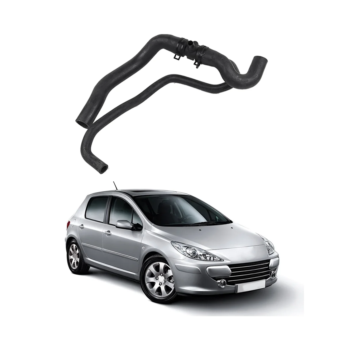  ȣ  ð Ϻ  ȣ, Ǫ 307 Ʈ̾ 308, 2.0L, 1351KR