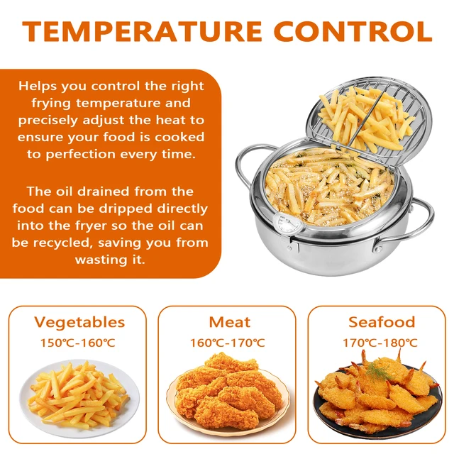 Stainless Steel Deep Fryer Pot 6