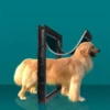 6482-cfff2f.jpg Puerta magnética para mascotas de PVC para perros y gatos.Entrada y salida libres